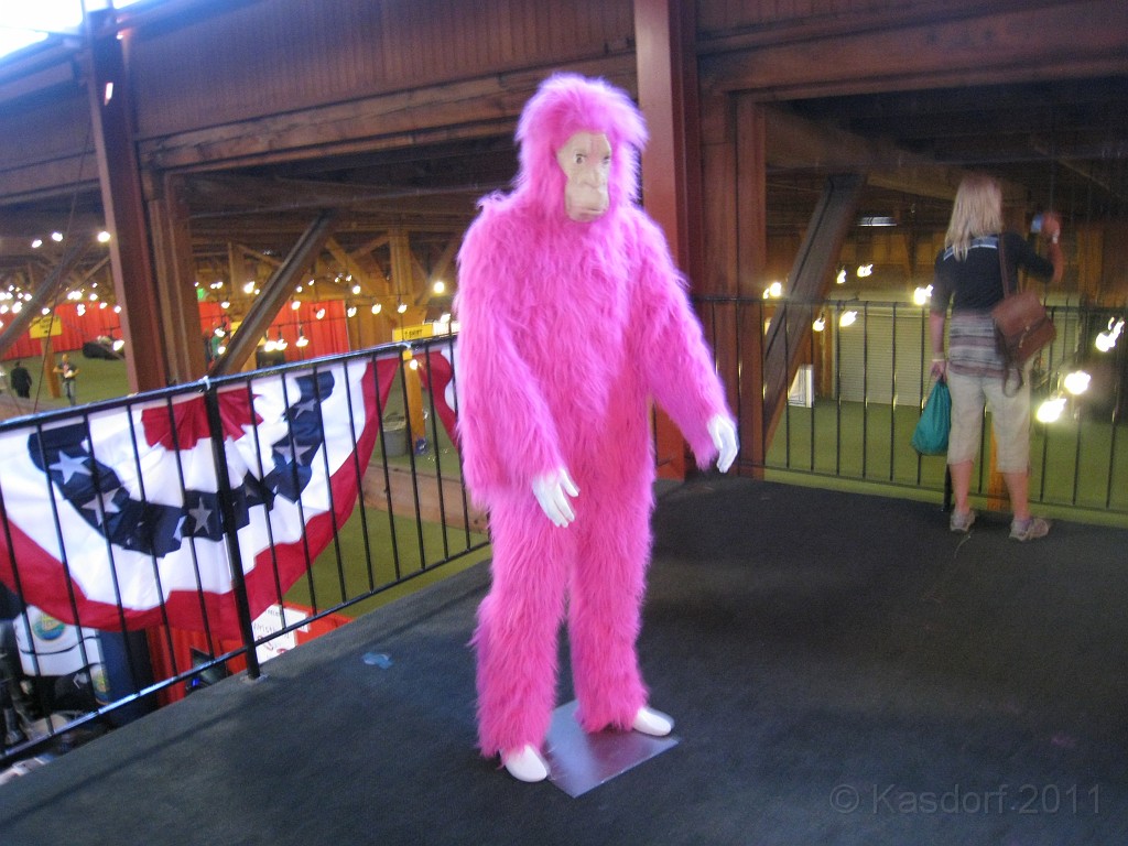 2011 Bay 2 Breakers Friday 0100.JPG - I was able to participate in the 100th annual running of the Bay to Breakers 12K race in San Francisco California. A weekend for sightseeing and racing.
